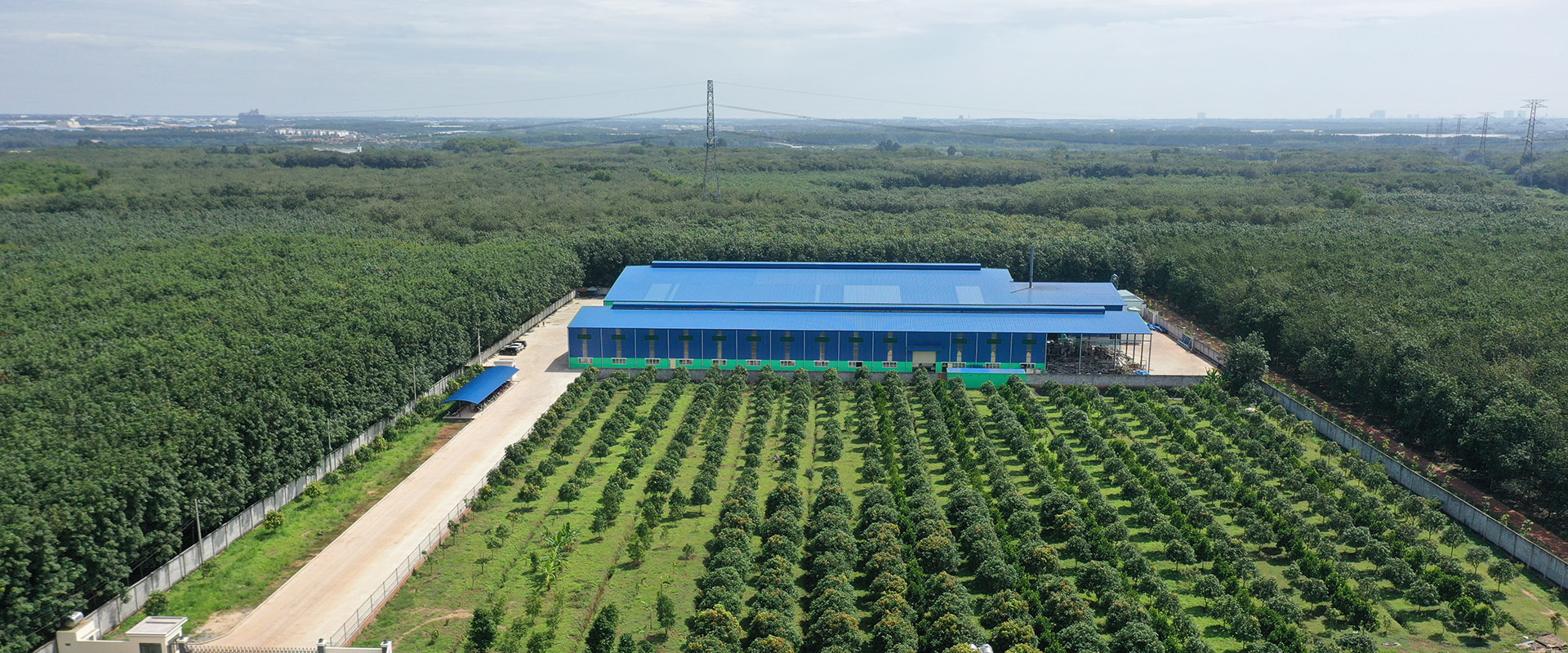 Aerial panorama of the blue-roofed factory building, surrounding grounds and rows of trees.